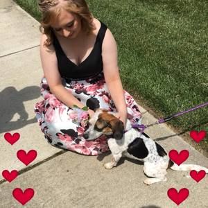 Meet your Posher, Lizzie